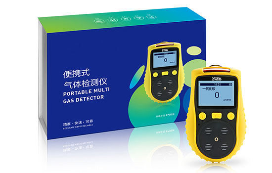 青岛路扬环保LY-GD1200K-CO扩散式一氧化碳检测仪