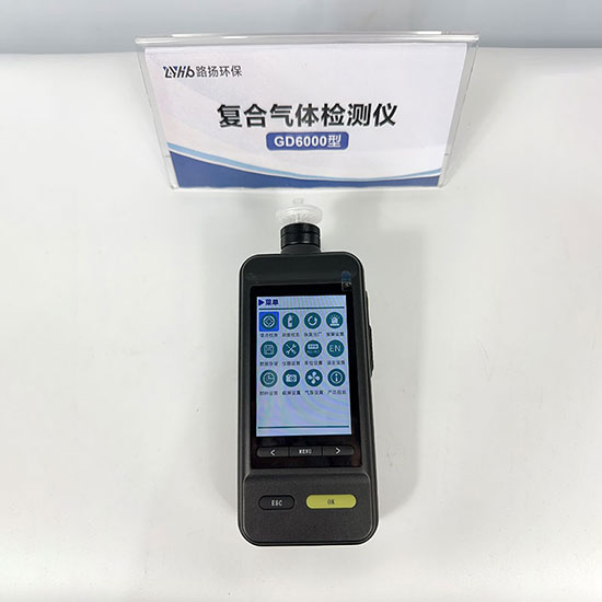 青岛路扬环保LY-GD6000-O3泵吸式臭氧检测仪